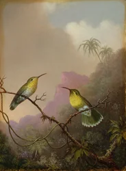 Due colibrì, c.1865-75